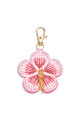 Rosa Bild2
