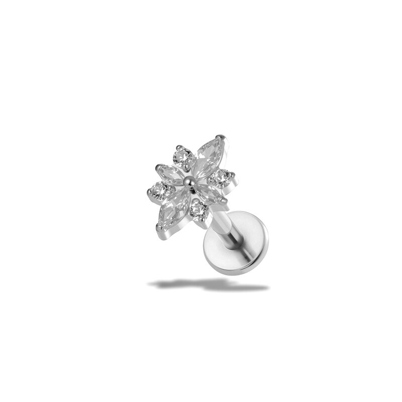 T25118-8# Argent Image17