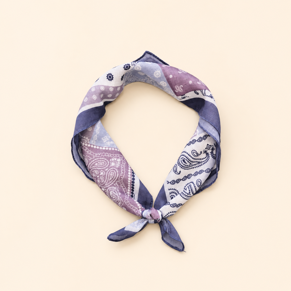 Ethnic Series Casual Mixed Color Paisley Pattern Polyester Summer Scarves Picture2