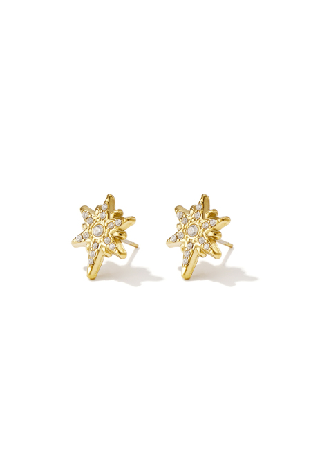 Stainless Steel Stud Earrings Irregular Shape Casual Daily Simple Series Women's Jewelry