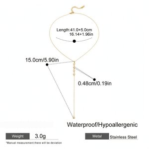 1 Piece Delicate Tassel Stainless Steel Waterproof Gold Color Women's Pendant Necklaces h5 Picture2