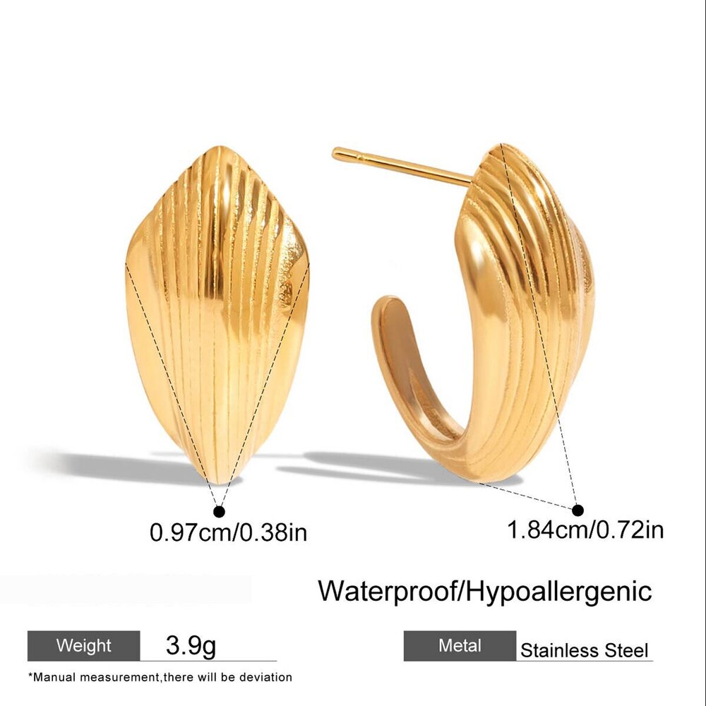 1 Pair Elegant Shell Stainless Steel Waterproof Gold Color Women's Stud Earrings Picture2