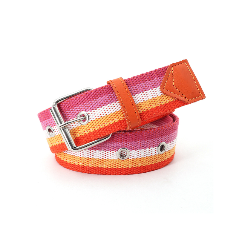 Simple Series Casual Stripe Mixed Color Woven Nylon Woven Belt h5 Picture2