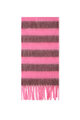 Rosa Bild3