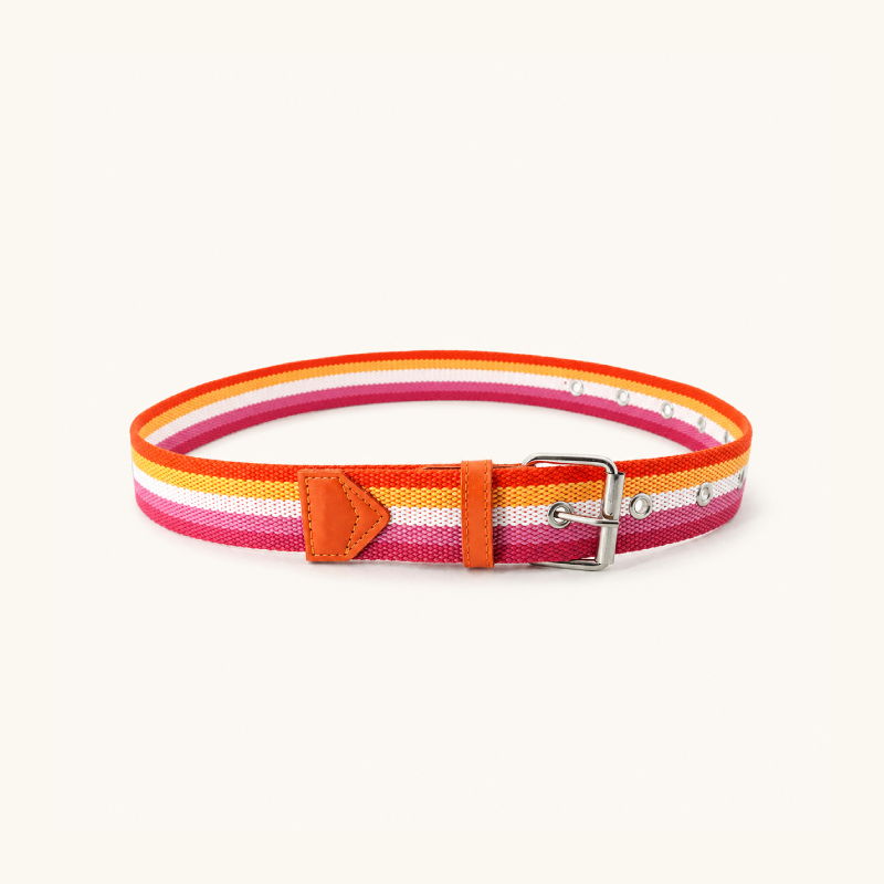 Simple Series Casual Stripe Mixed Color Woven Nylon Woven Belt h5 Picture3