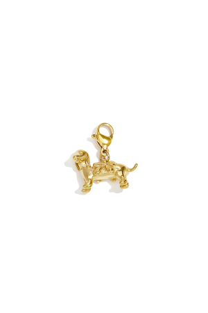 Stainless Steel Jewelry Findings Animal Print Simple Daily Simple Series Women's Jewelry h5 