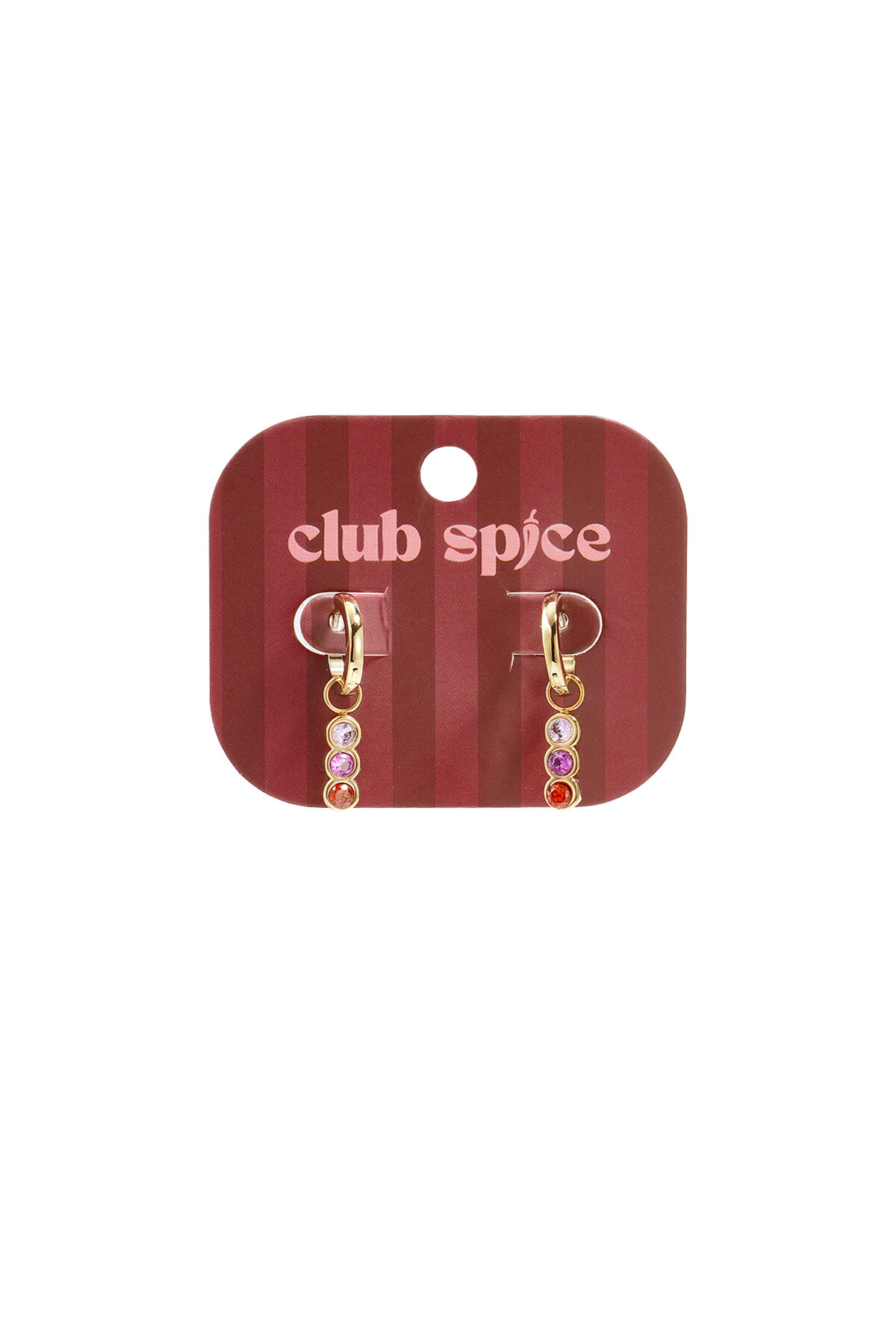 Stainless Steel Drop Earrings Circle Casual Daily Simple Series Women's jewelry 2