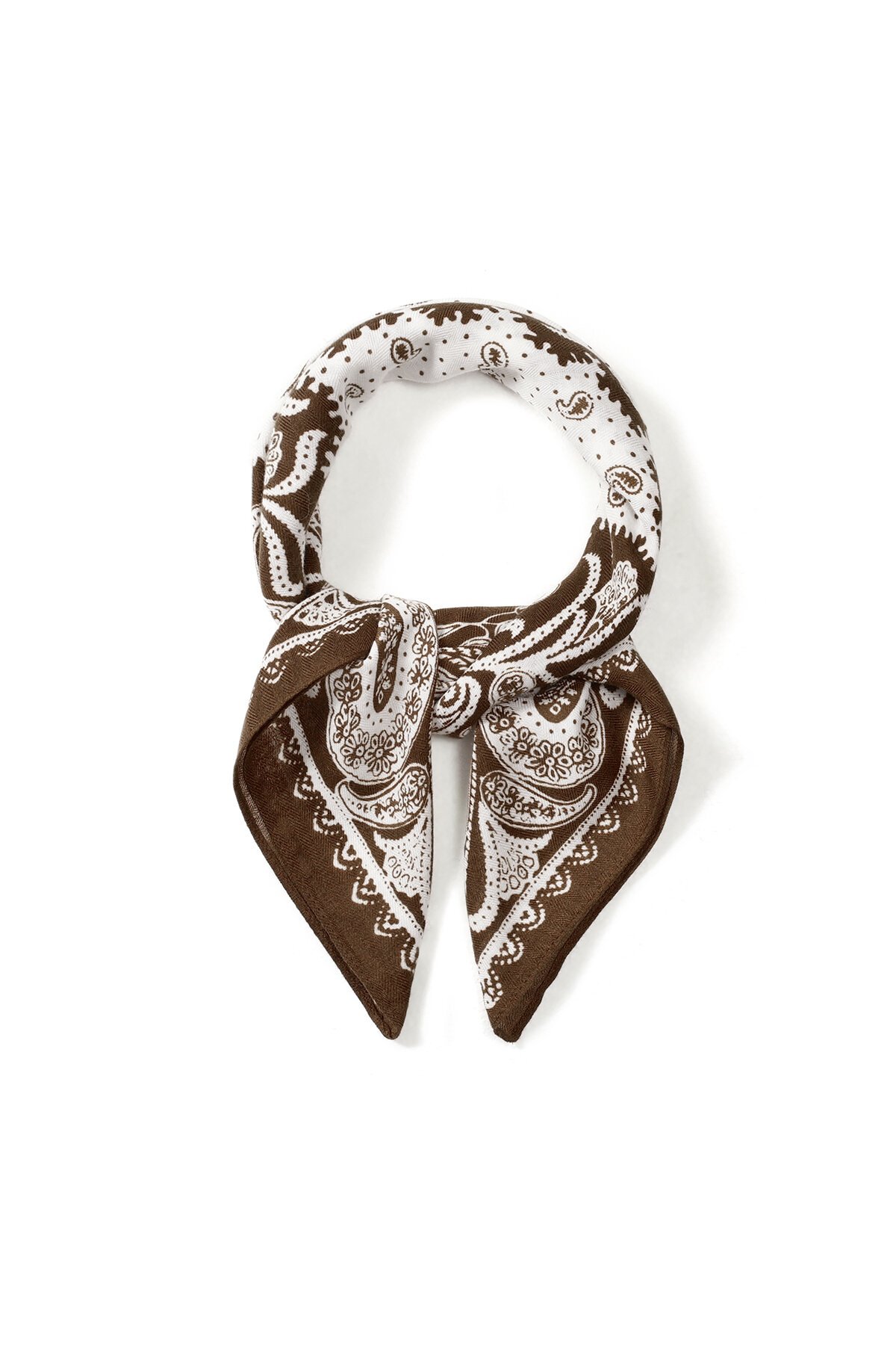 Winter Scarves Paisley Pattern Classic Velvet Daily Accessories Picture2