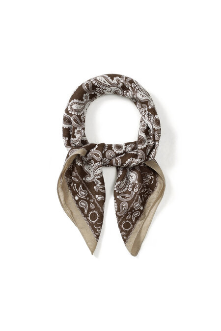 Winter scarves Paisley Pattern Classic Velvet Daily Accessories