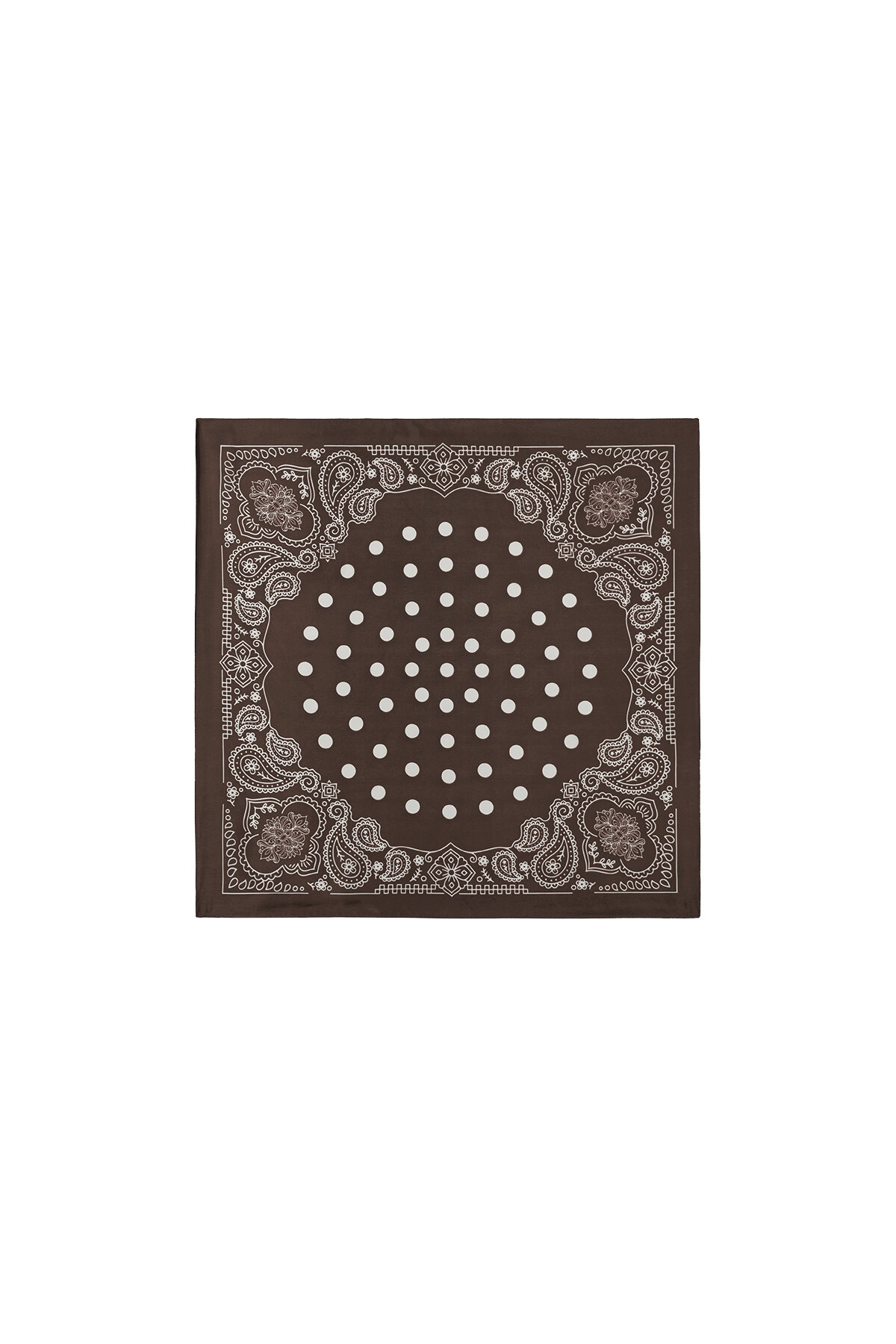 Brown Picture2