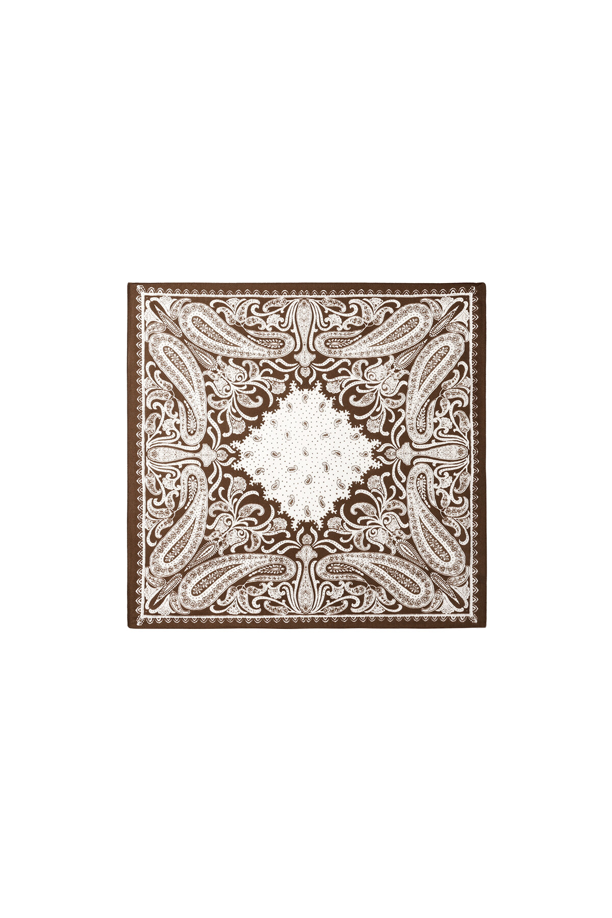 Winter Scarves Paisley Pattern Classic Velvet Daily Accessories h5 