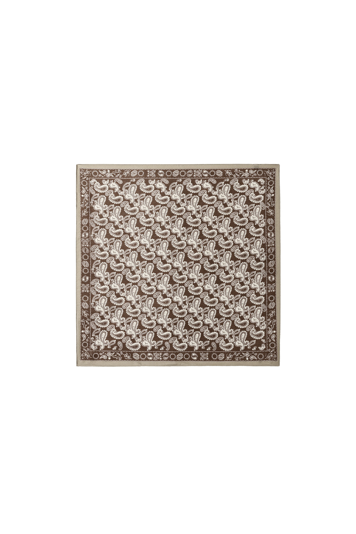Winter Scarves Paisley Pattern Classic Velvet Daily Accessories h5 