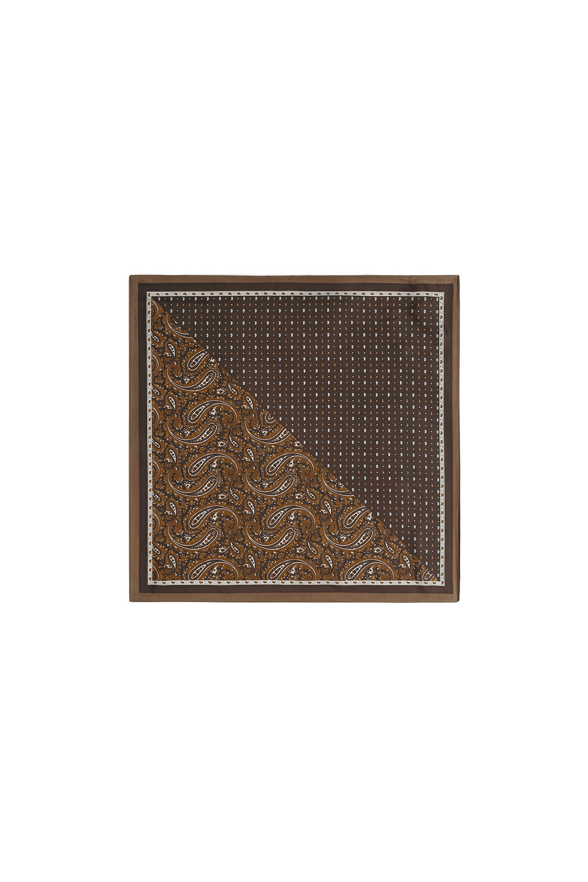 Brown Picture2