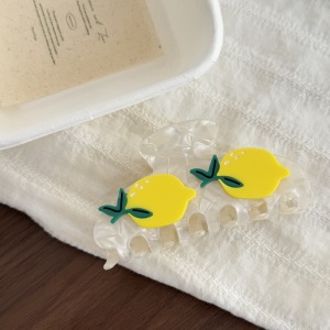 Simple Series Daily Fruit Cherry Acetate Hair Claws h5 