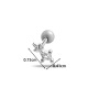 2692-2# Silver Picture8