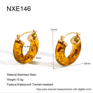 Geometric Shape Resin Stainless Steel Waterproof Women's Stud Earrings h5
