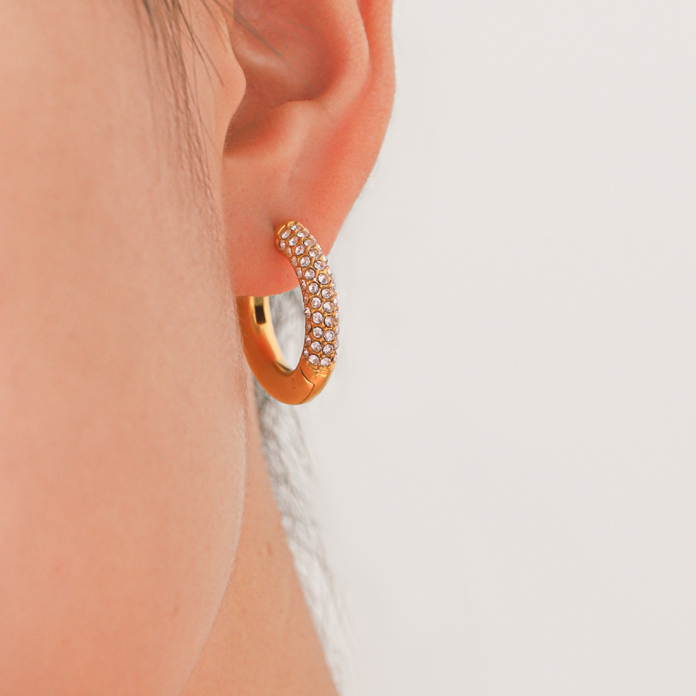 Luxurious Series Daily Circle Stainless Steel Waterproof Gold Color Zircon Women's Hoop Earrings h5Picture5