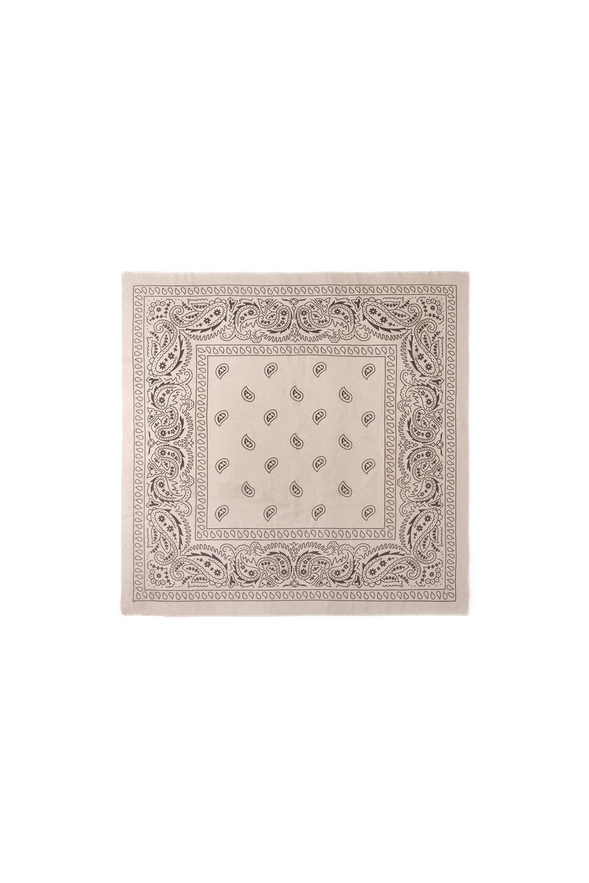 Winter scarves Paisley Pattern Classic Polyester Daily Accessories 2
