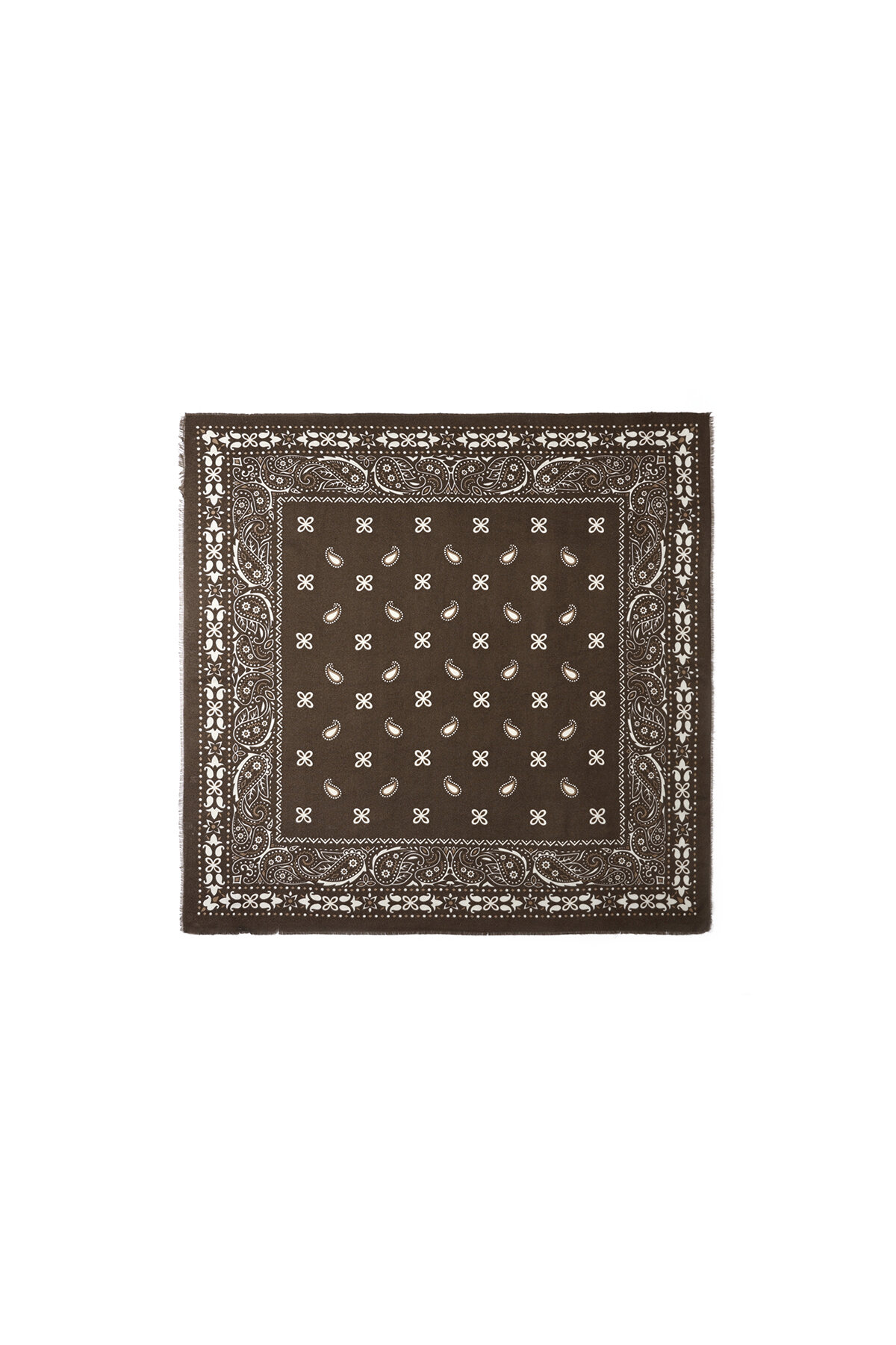 Winter scarves Paisley Pattern Casual Polyester Daily Accessories 2