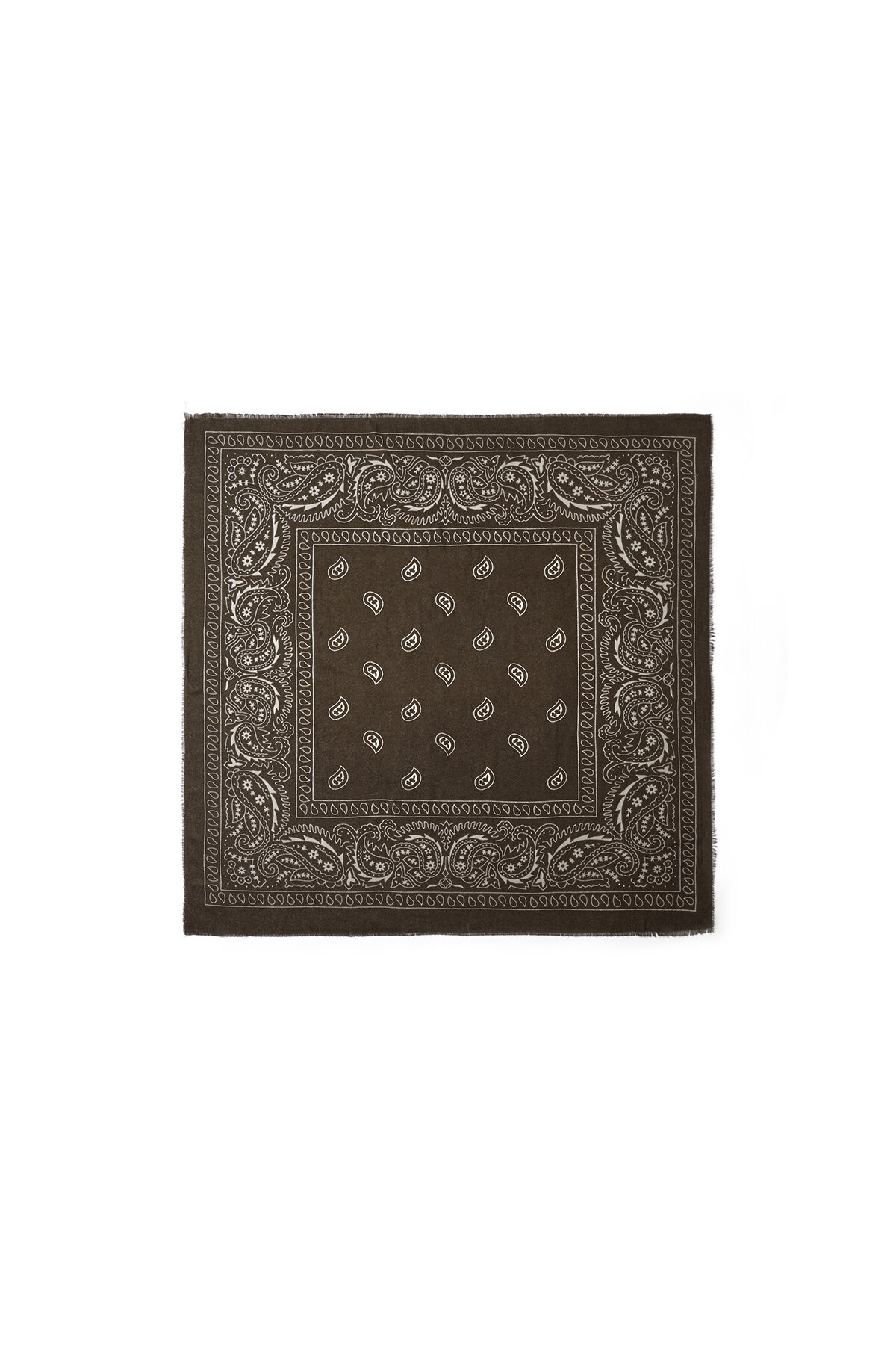 Coffee Brown 
