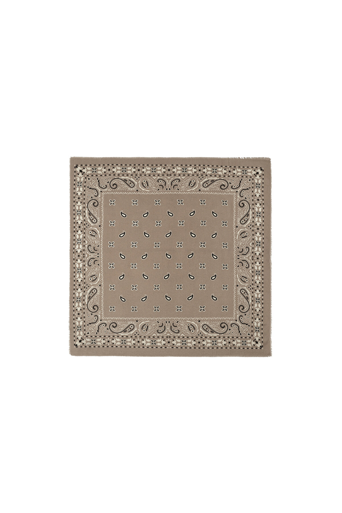 Winter scarves Paisley Pattern Casual Polyester Daily Accessories
