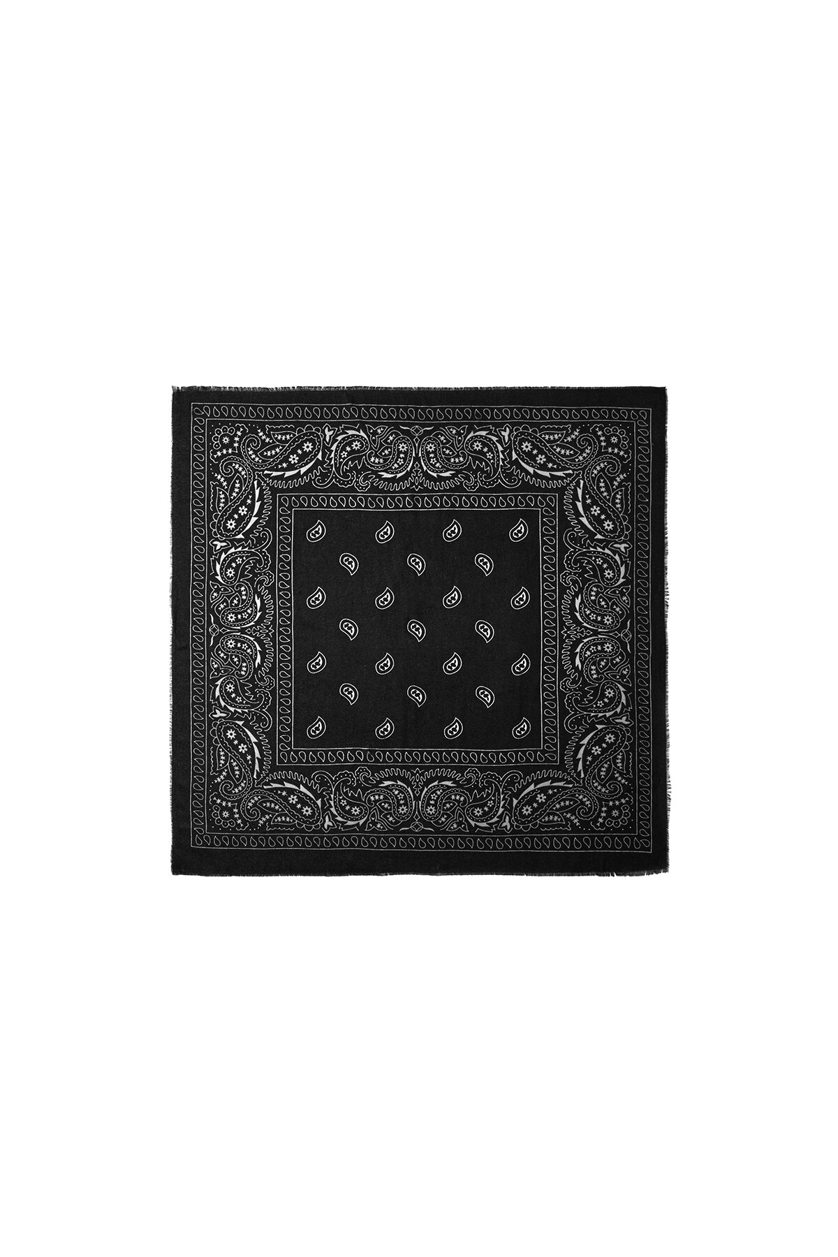 Black Picture4
