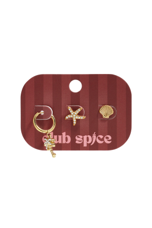 Stainless Steel Earring Sets Starfish Simple Daily Simple Series Women's Jewelry h5 Picture2