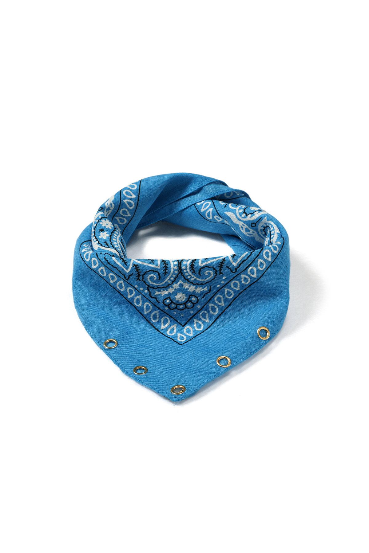 Blue Picture5