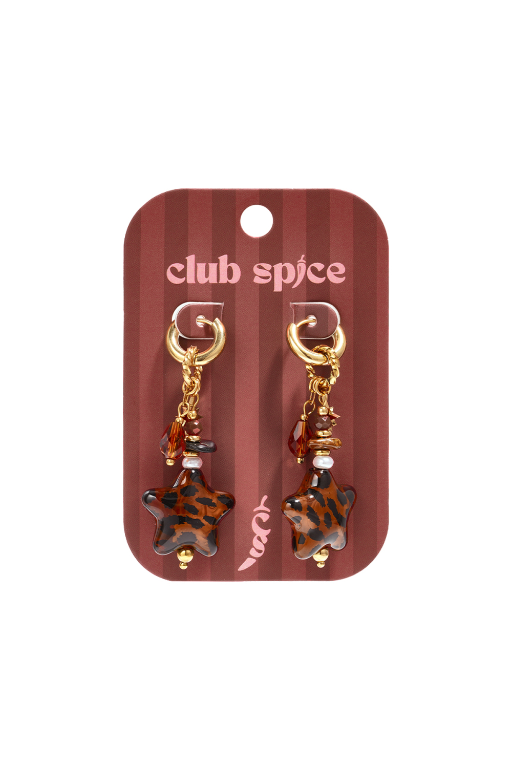 Stainless Steel Dangle Earrings Star Simple Daily Simple Series Women's Jewelry h5Picture3