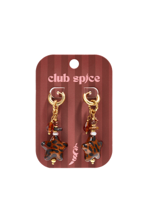 Stainless Steel Dangle Earrings Star Simple Daily Simple Series Women's Jewelry h5 Picture3