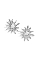 Silver Color Picture2