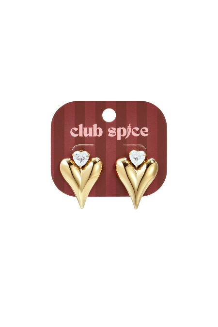 Stainless Steel Stud Earrings Heart Simple Daily Simple Series Women's Jewelry 2