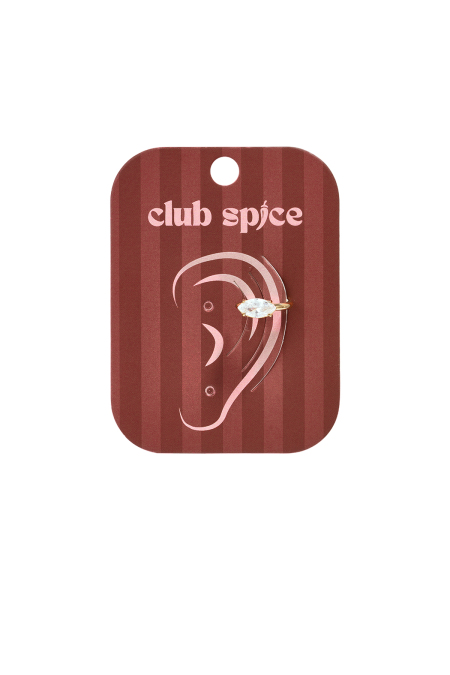 Pendientes de aro de acero inoxidable con forma elíptica, sencillos para uso diario, de la serie Simple. Joyería para mujer. 2