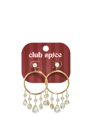 Stainless Steel Dangle Earrings Droplet Elegant Gathering/Party Luxurious Series Women's Jewelry h5 Picture2