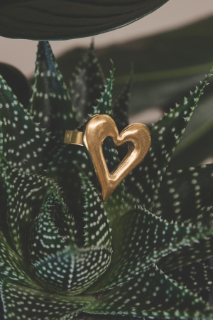 Statement Rings Heart Casual Daily Simple Series Women's Jewelry h5 Picture2