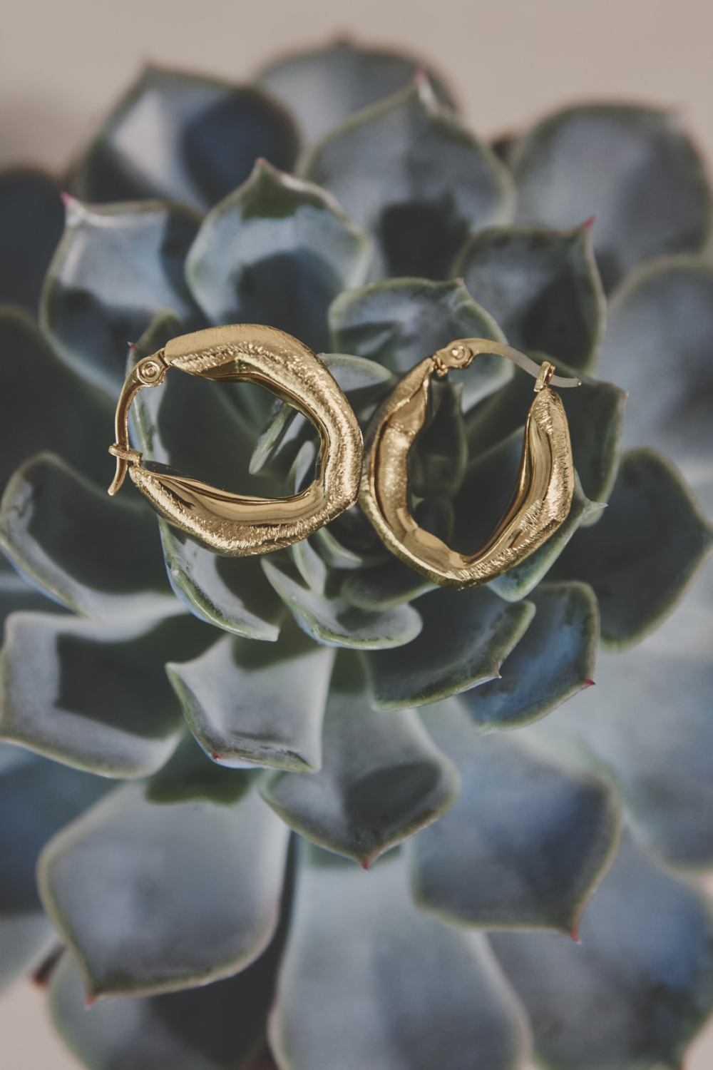 Hoop Earrings Irregular Shape Casual Daily Simple Series Women's Jewelry Picture2