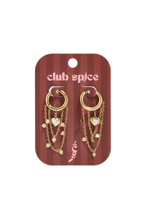 Stainless Steel Dangle Earrings Heart Elegant Daily Simple Series Women's Jewelry h5 Picture2
