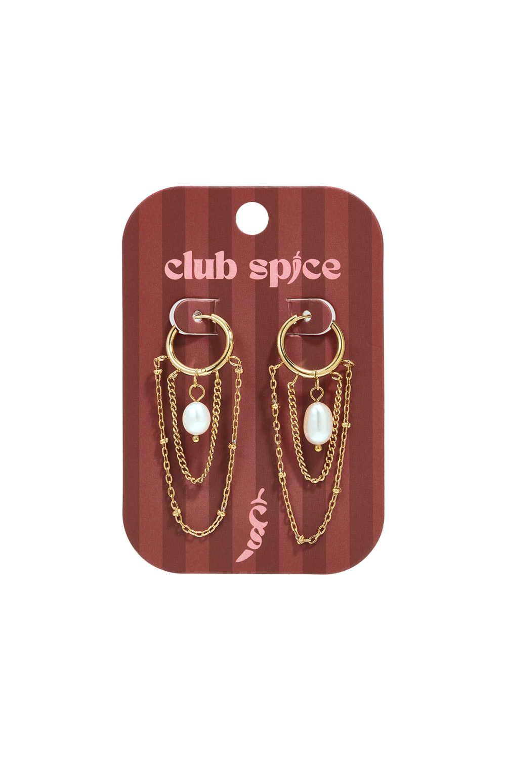 Stainless Steel Dangle Earrings Chain Simple Daily Simple Series Women's Jewelry Picture2