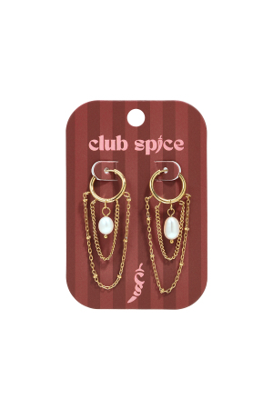 Stainless Steel Dangle Earrings Chain Simple Daily Simple Series Women's Jewelry h5 Picture2