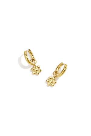 Stainless Steel Drop Earrings Flower Simple Daily Simple Series Women's Jewelry h5