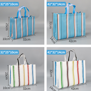 Casual Style Printed Stripe Mixed Color Woven Pp Square Shopper Bags h5 Picture8