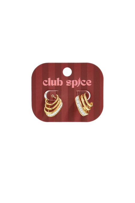 Stainless Steel Stud Earrings Irregular Shape Simple Daily Simple Series Women's Jewelry 2