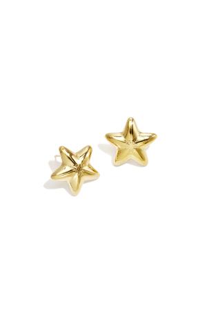 Stainless Steel Stud Earrings Star Simple Daily Simple Series Women's Jewelry h5 Picture2