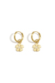 Gold Color 
