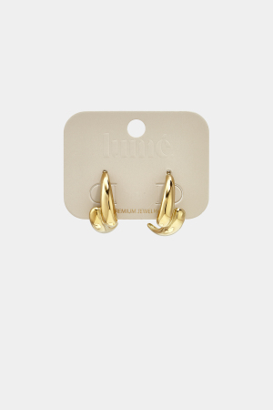 Stainless Steel Hoop Earrings Irregular Shape Simple Daily Simple Series Women's Jewelry h5 Picture3