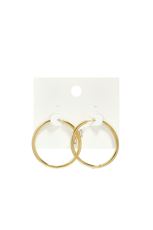 Stainless Steel Earrings Hoops Small h5 Picture4