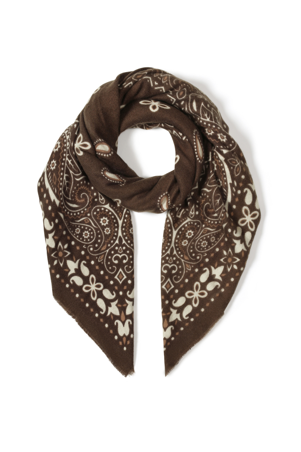 Sciarpe Invernali Con Motivo Paisley, In Poliestere, Casual, Accessori Per Tutti I Giorni Immagine2