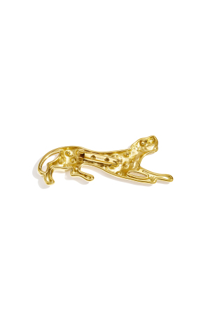 Brooches Animal Print Simple Stainless Steel Daily Accessories h5 Picture3