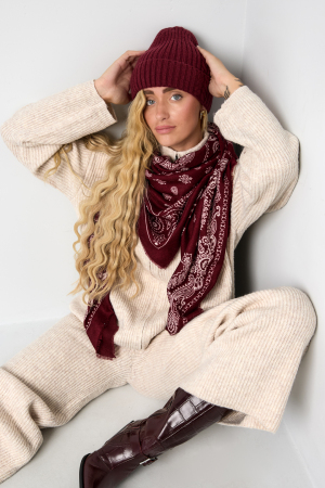Winter Scarves Paisley Pattern Classic Polyester Daily Accessories h5 Picture3