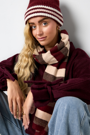 Winter Scarves Stripe Simple Polyester Daily Accessories h5 Picture4